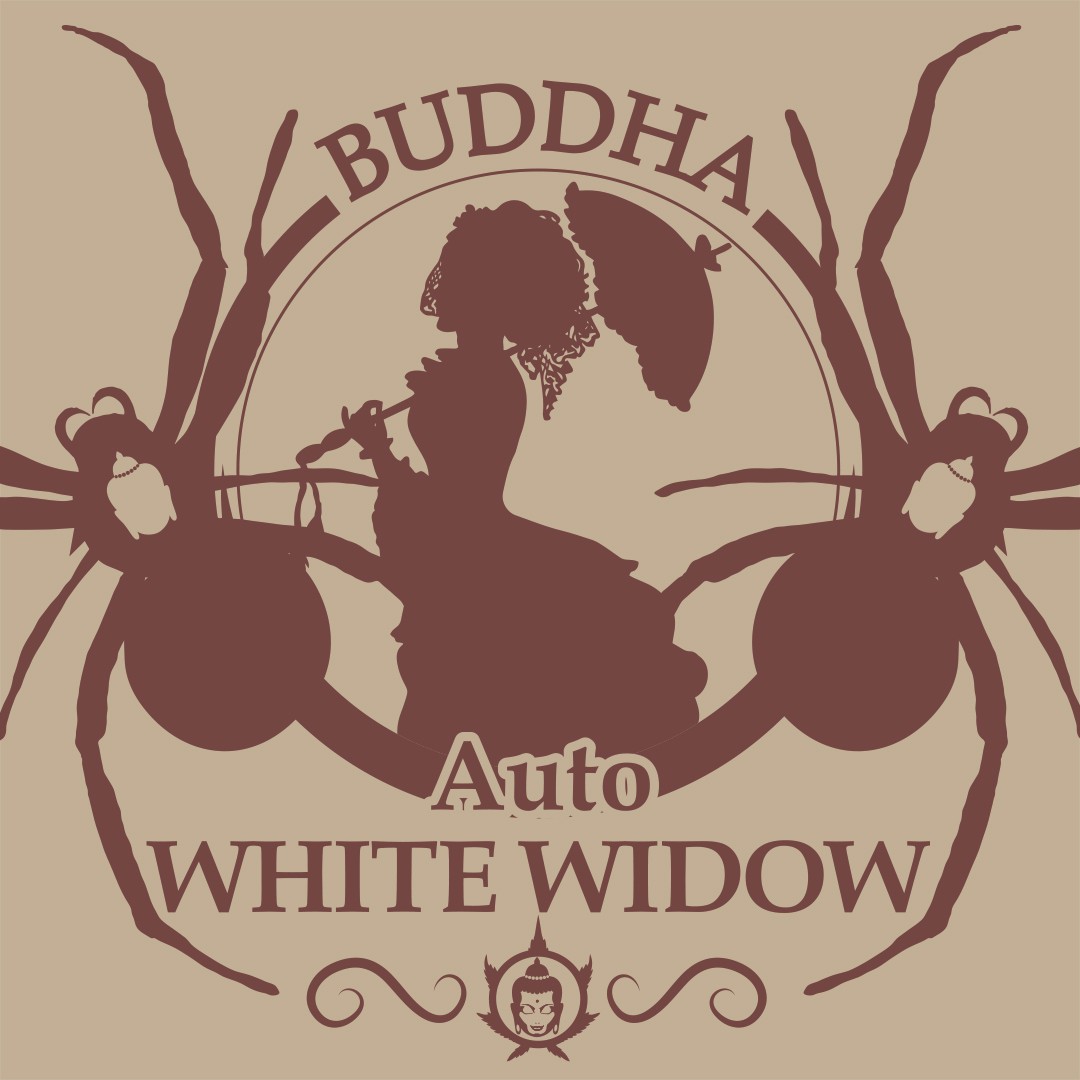 Buddha Auto White Widow Seeds