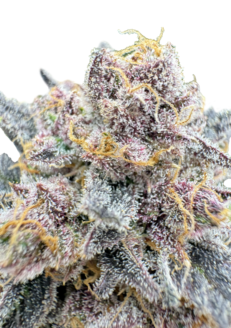 Cherry Cola Auto RF3 Seeds