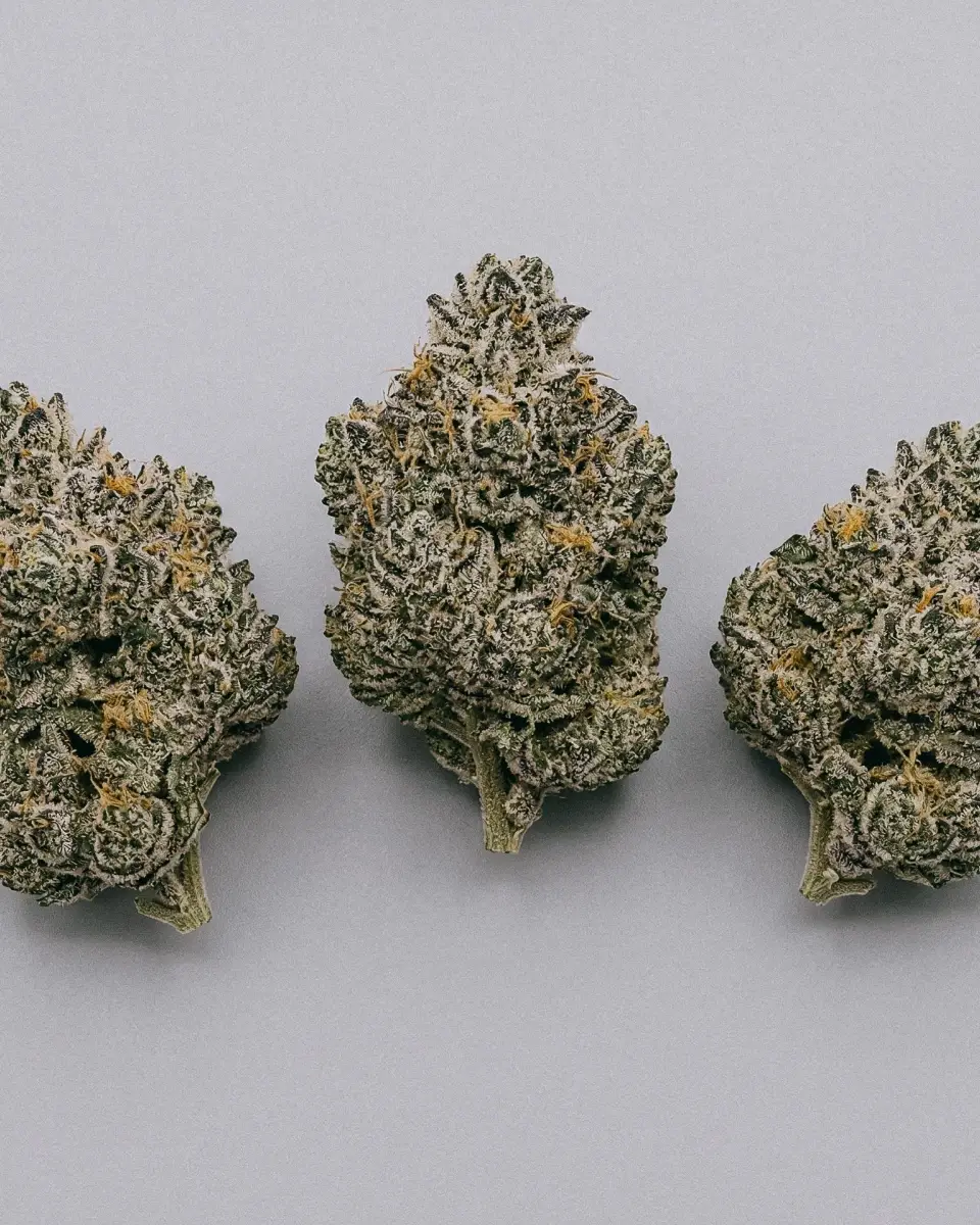 Wedding Cake Feminized Seeds For Sale | Buy Online >>> ILGM