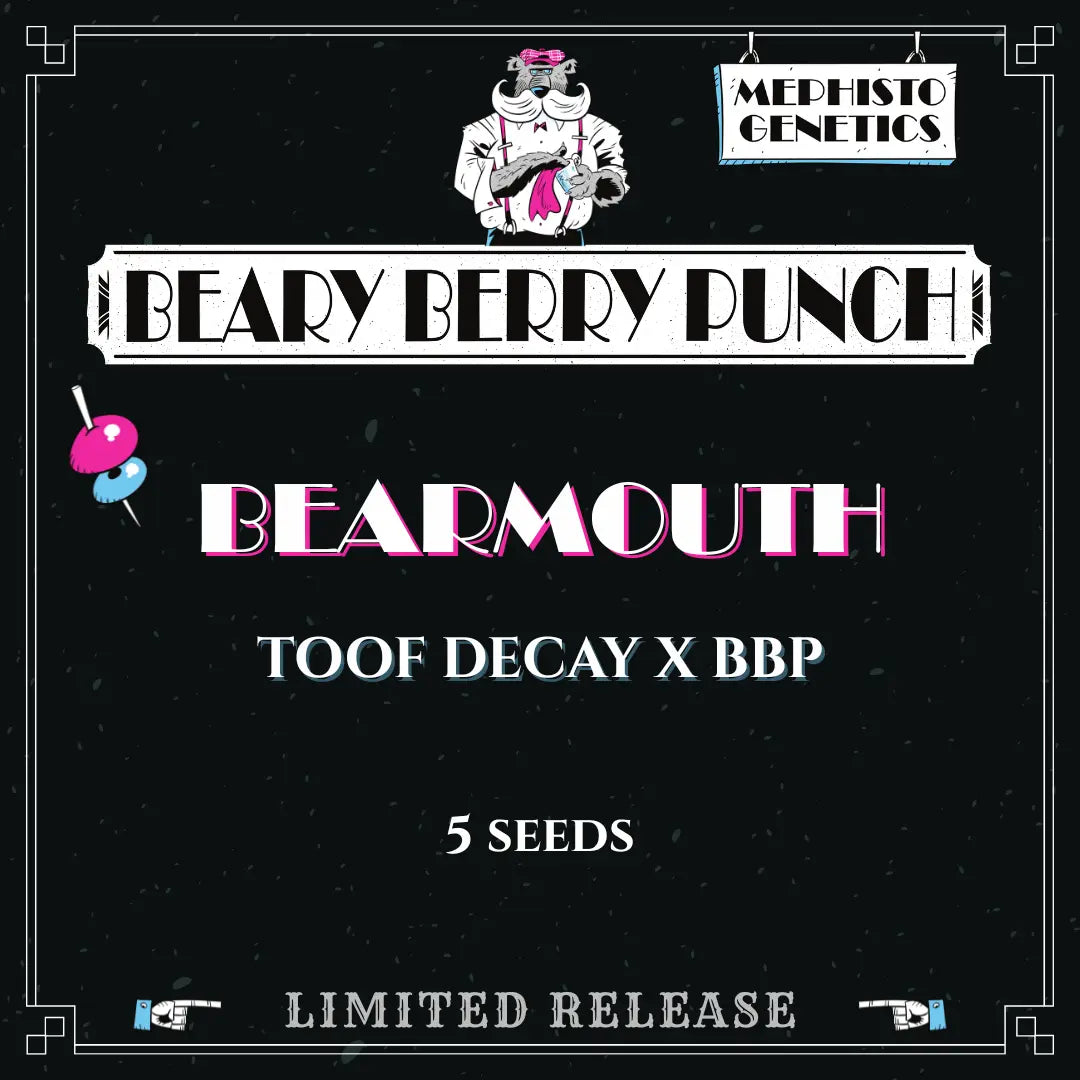 Bearmouth Auto Seeds