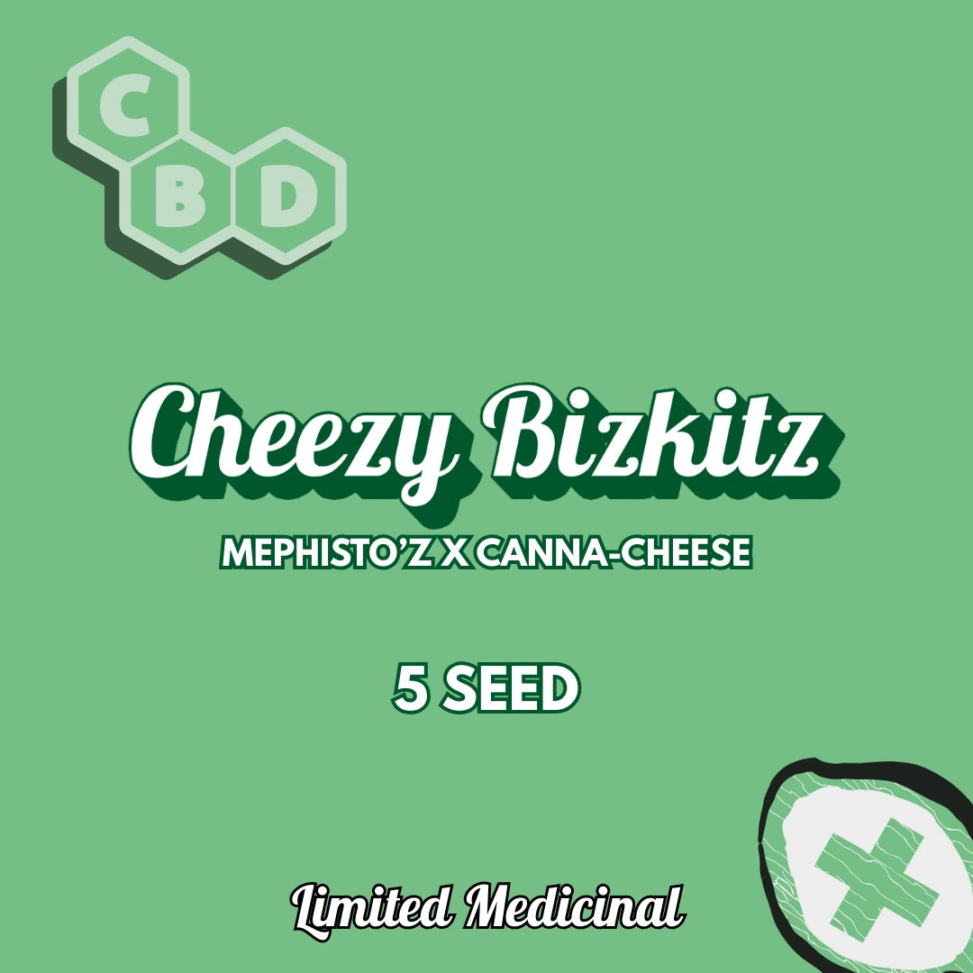 Cheezy Bizkitz Auto Seeds