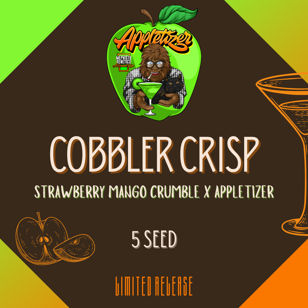 Cobbler Crisp Auto Seeds