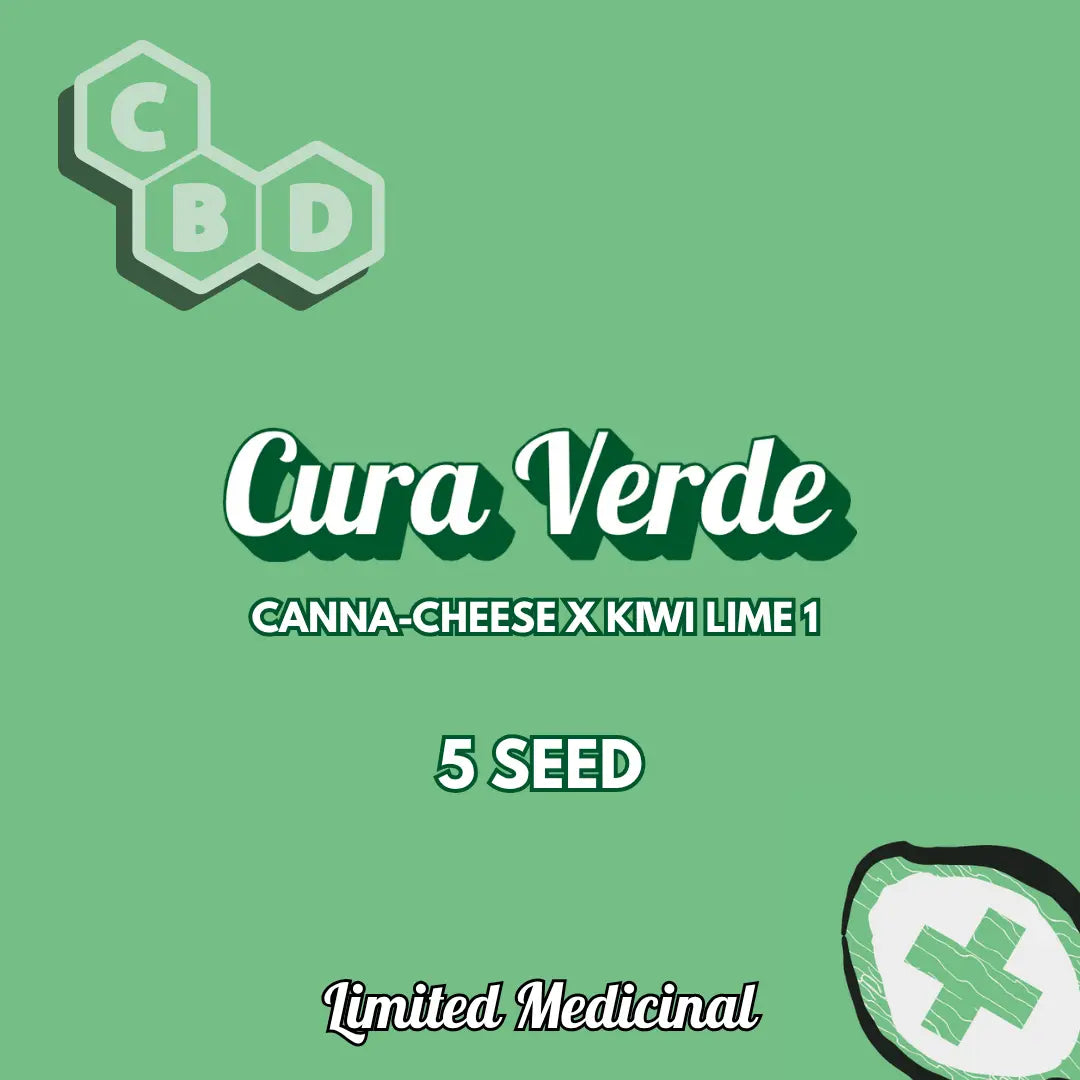 Cura Verde Auto Seeds