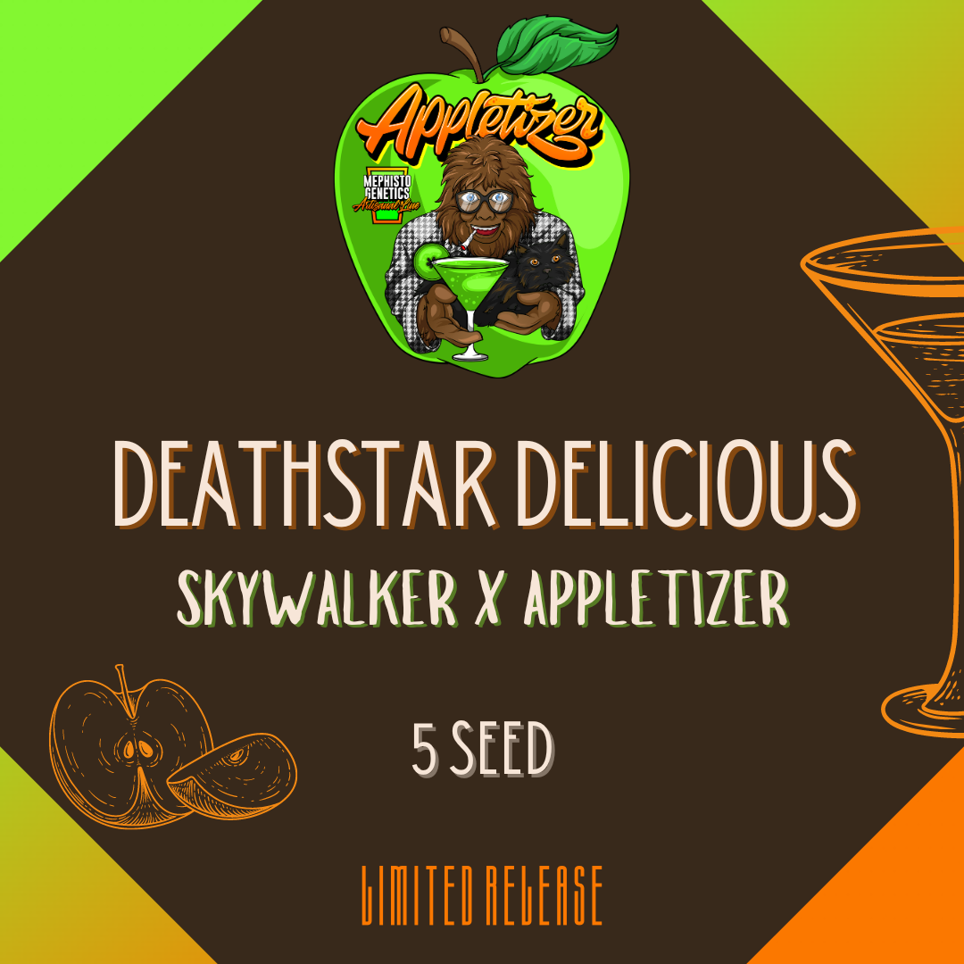 Deathstar Delicious Auto Seeds