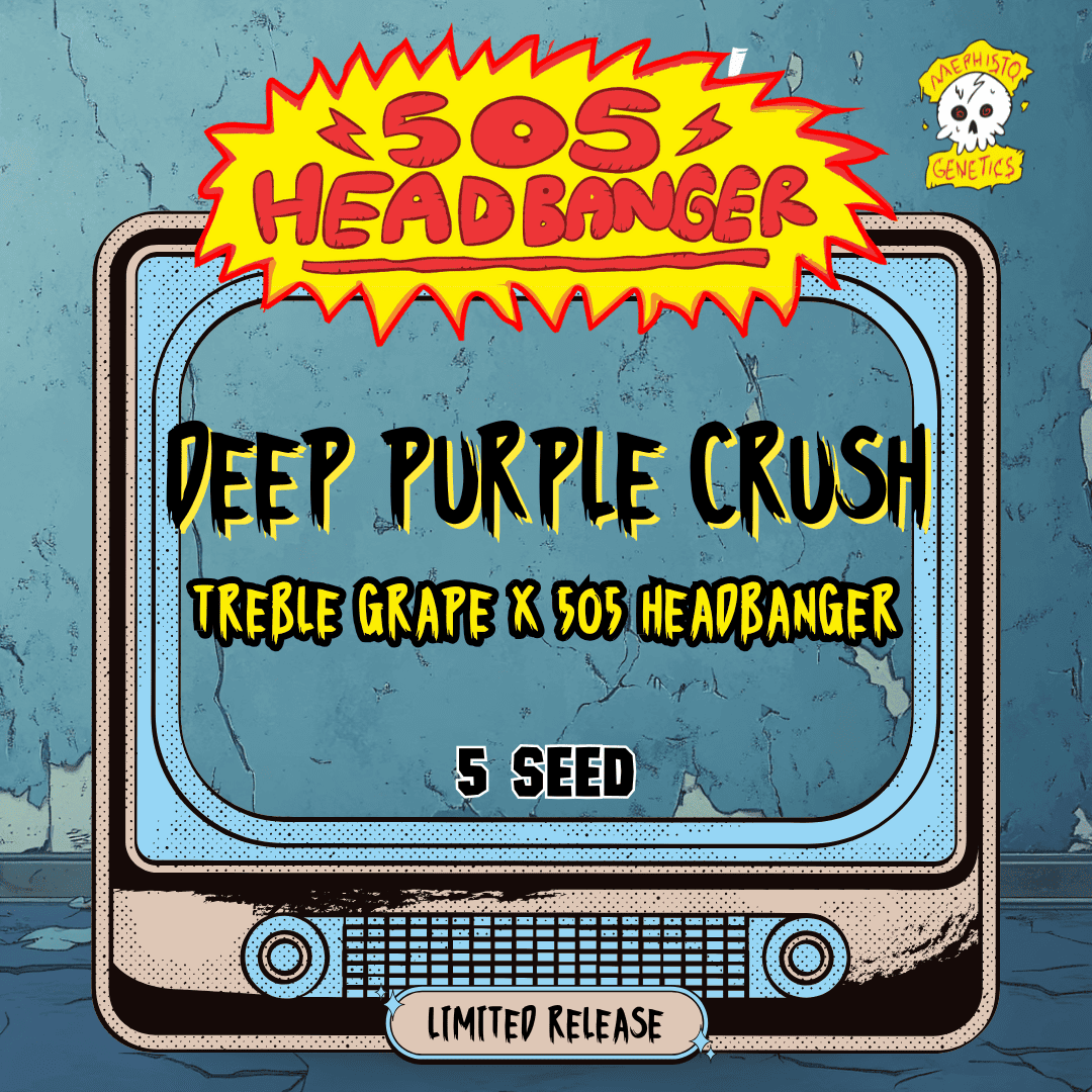 Deep Purple Crush Auto Seeds