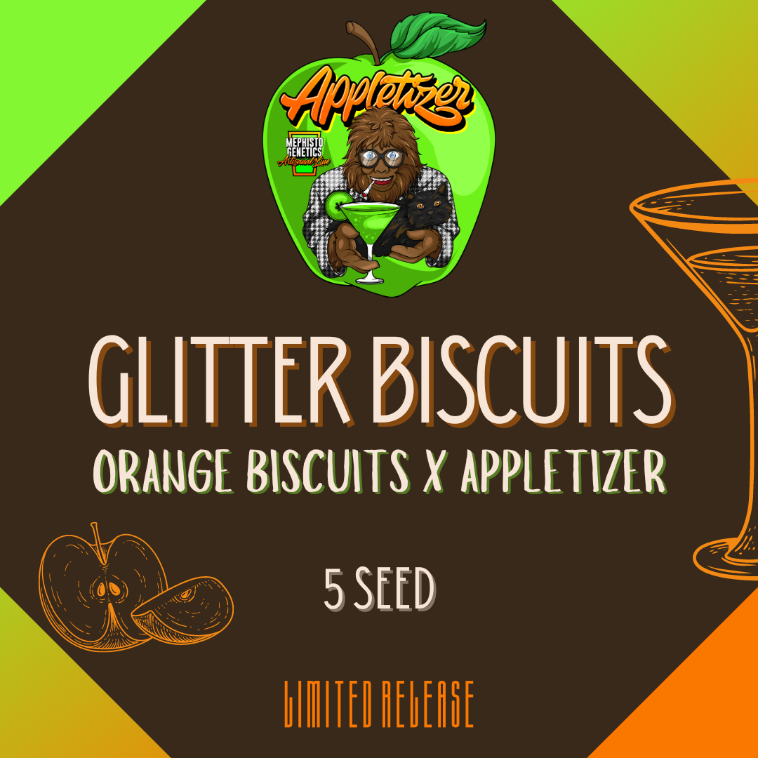 Glitter Biscuits Auto Seeds