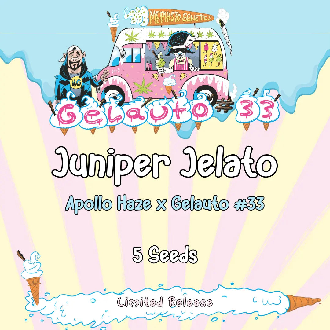 Juniper Jelato Auto Seeds