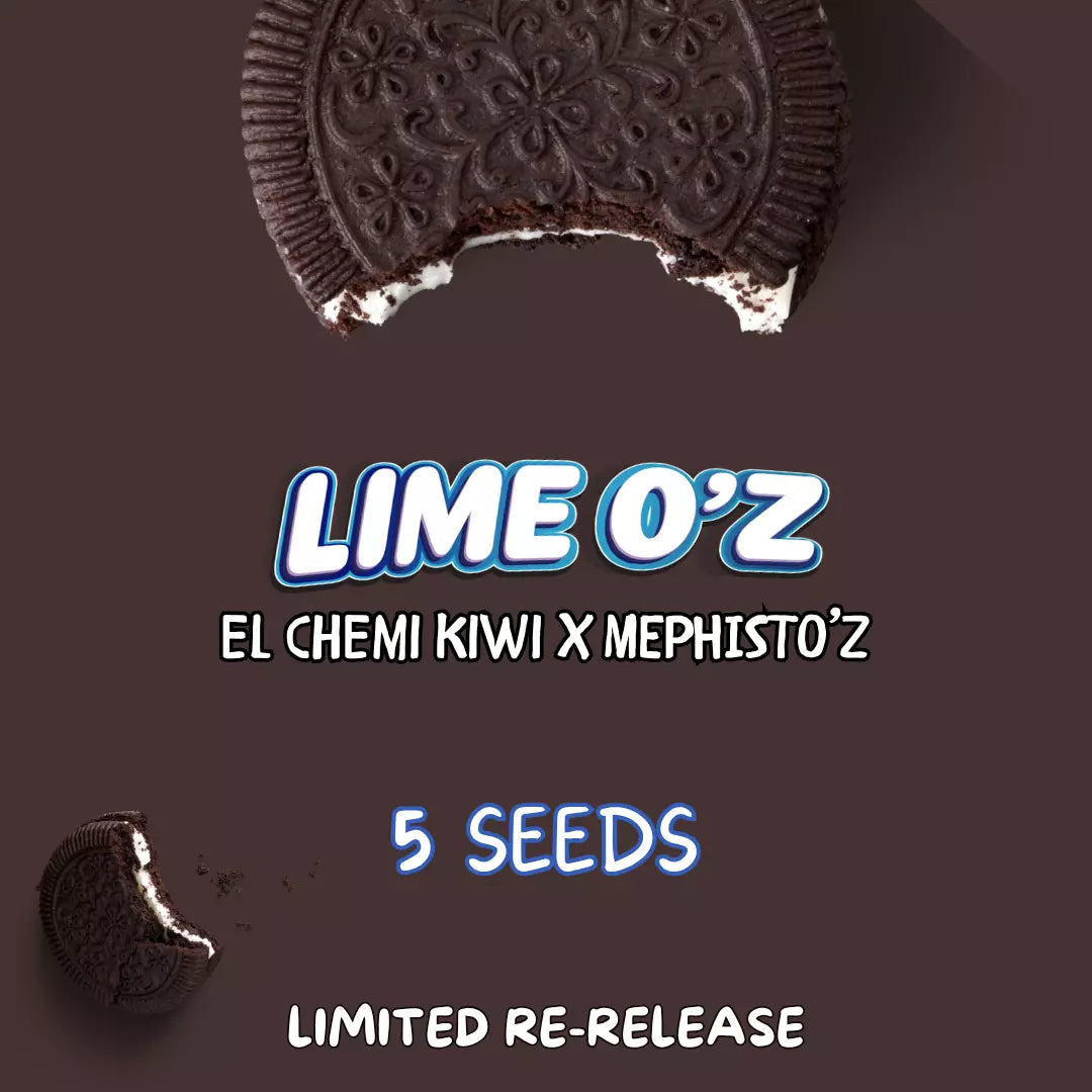 Lime O'z Auto Seeds