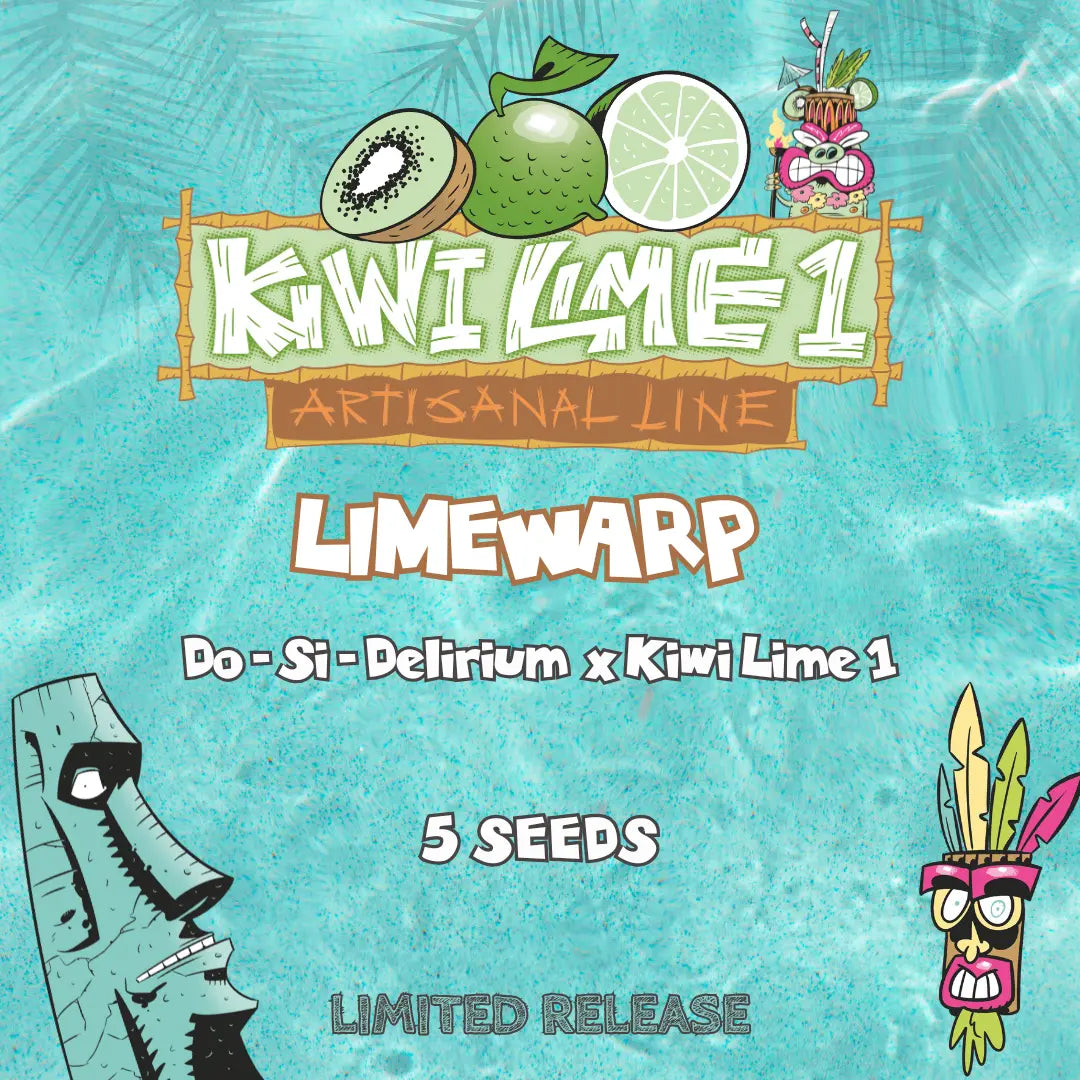Limewarp Auto Seeds