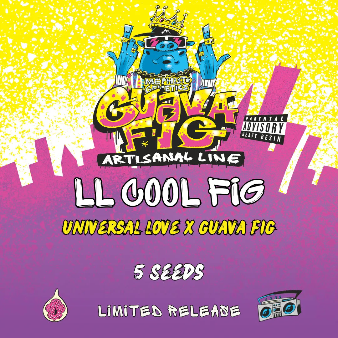 LL Cool Fig Auto Seeds