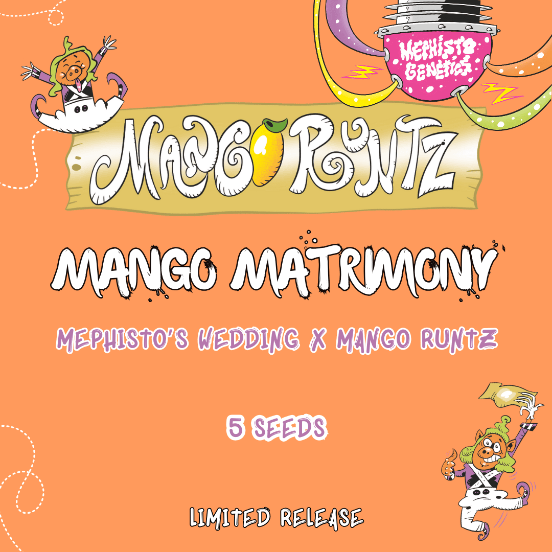 Mango Matrimony Auto Seeds
