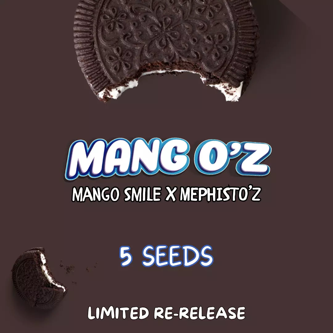 Mang O'z Auto Seeds