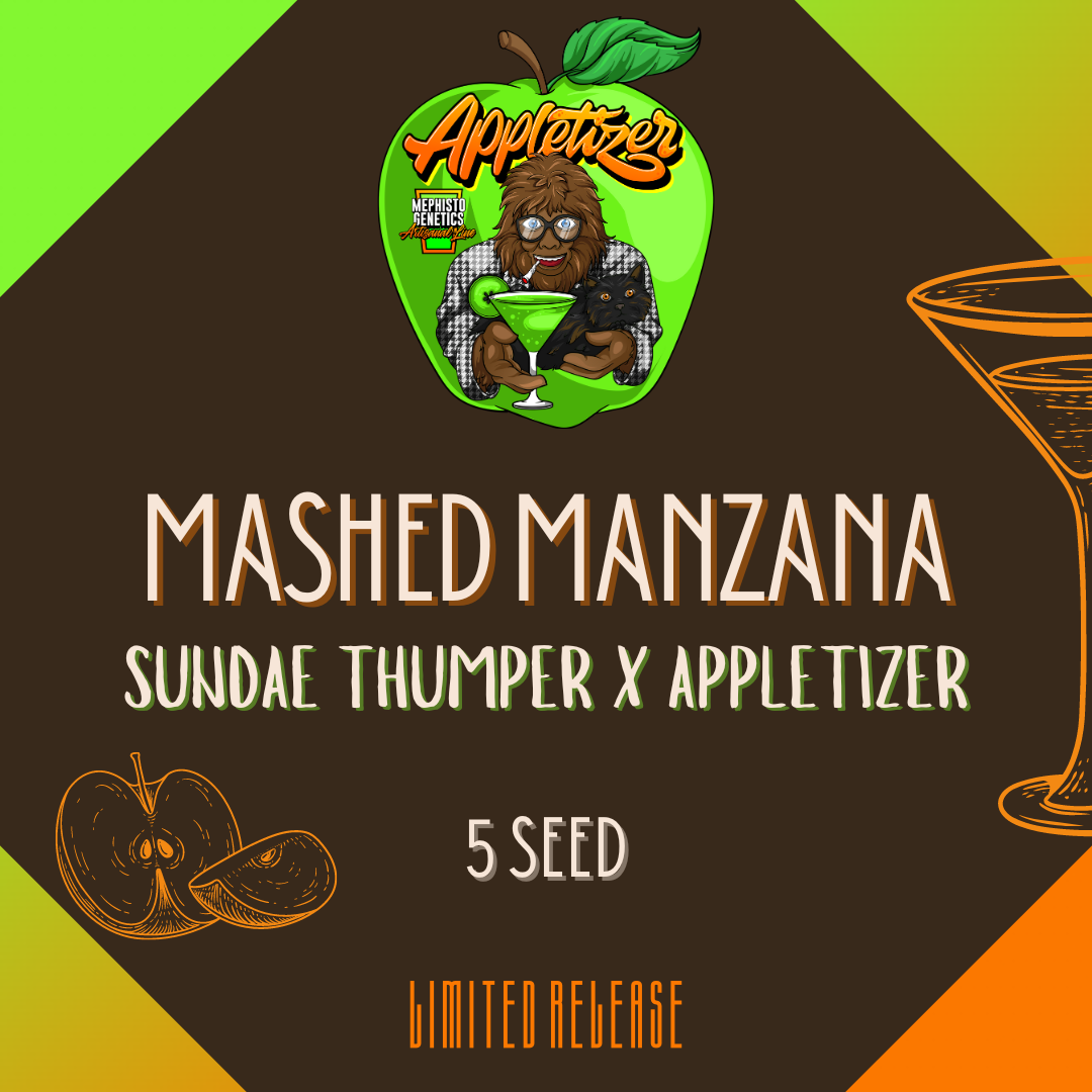 Mashed Manzana Auto Seeds