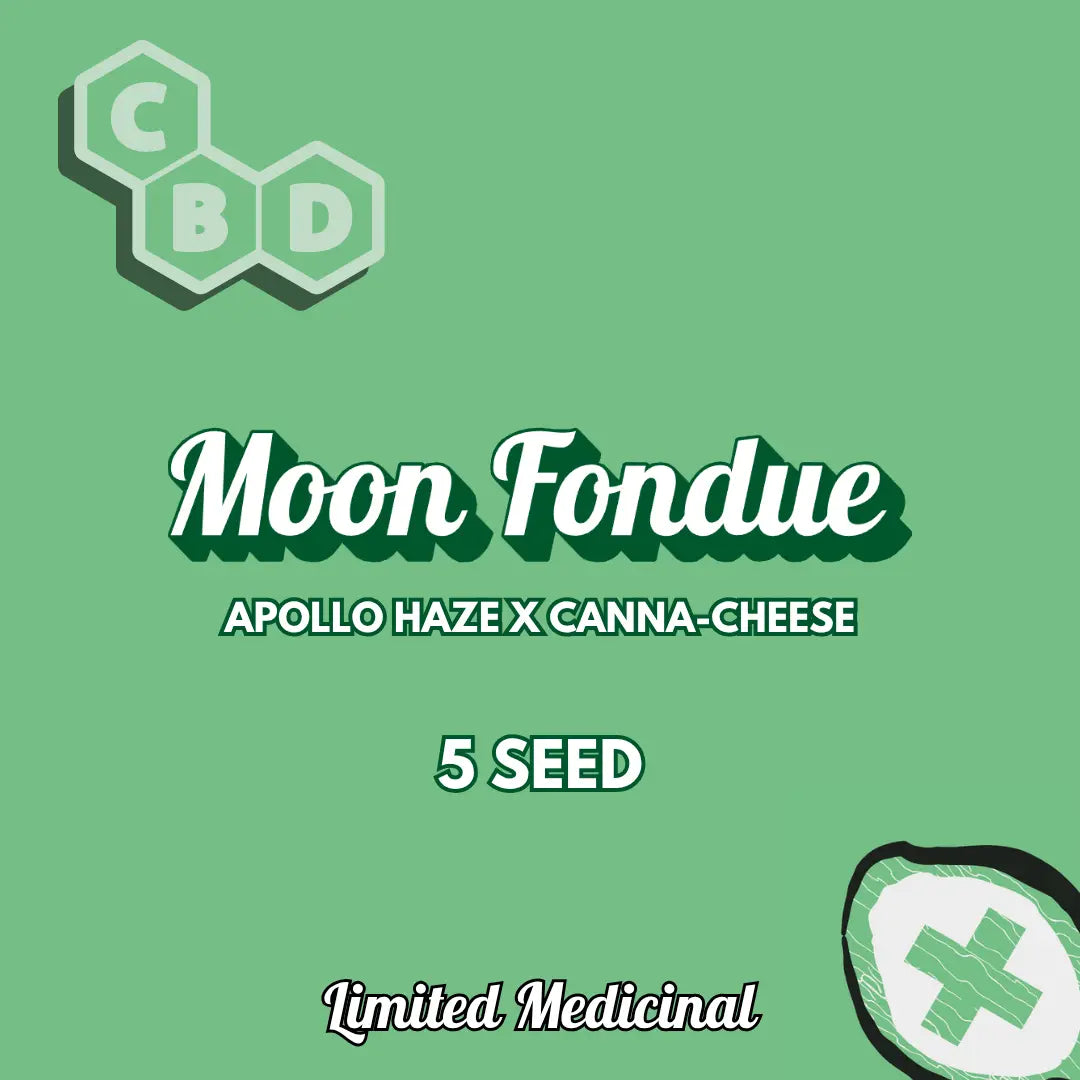 Moon Fondue Auto Seeds