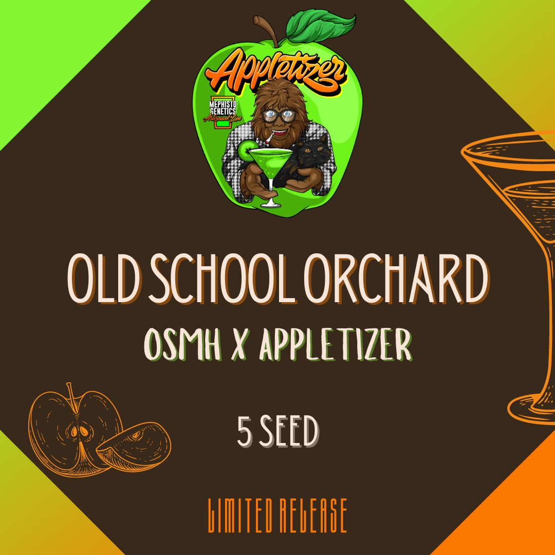 Old School Orchard Auto Seeds