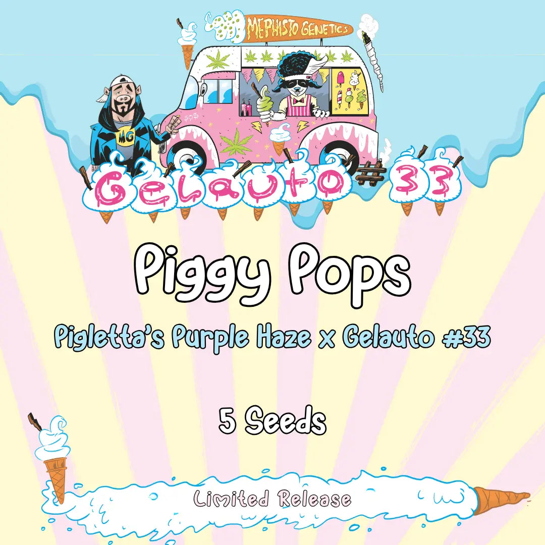Piggy Pops Auto Seeds