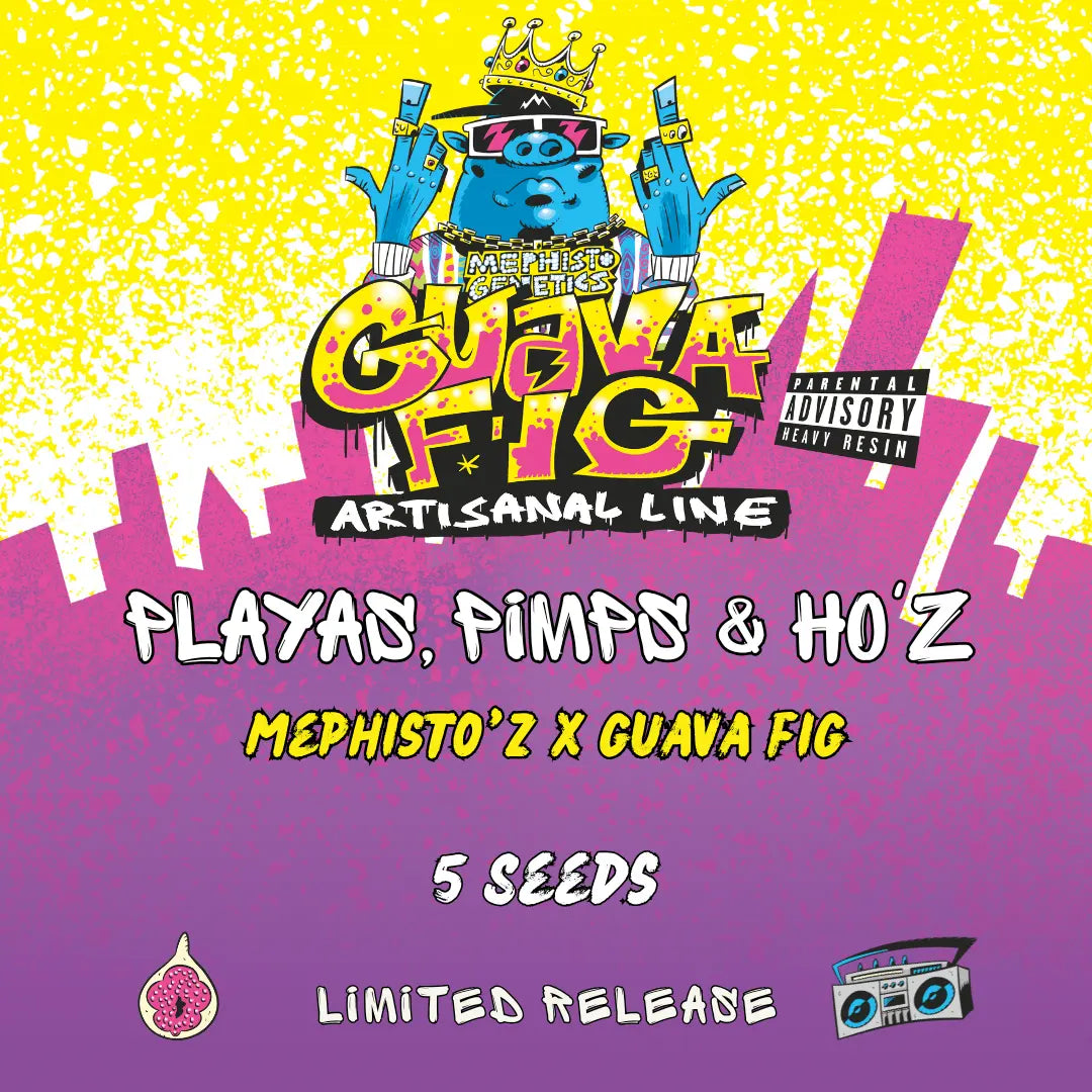 Playas, Pimps & HO'z Auto Seeds