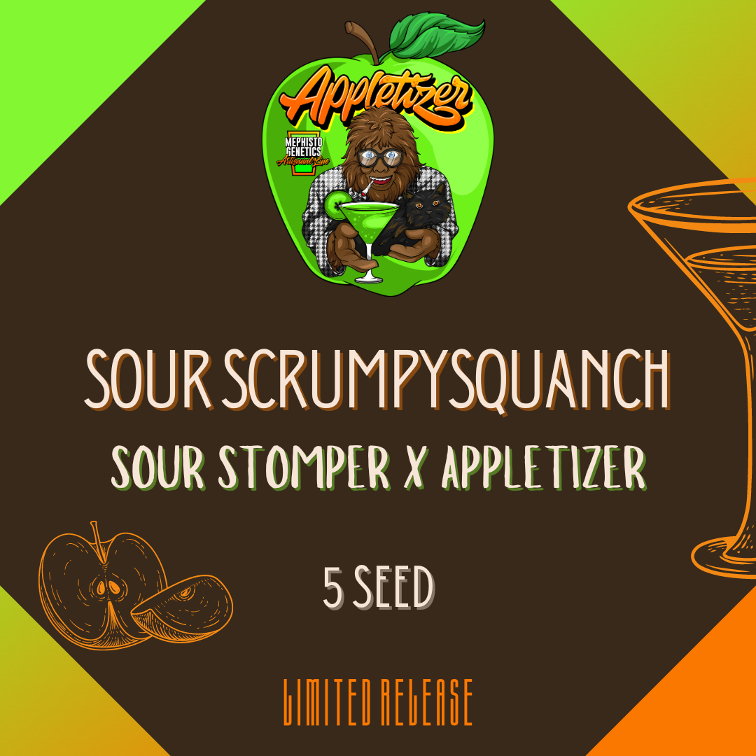 Sour Scrumpysquanch Auto Seeds